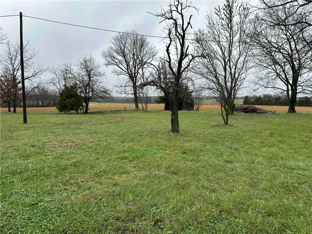 $45,000 | 12339 Highway 65, Cross Timbers, MO 65634