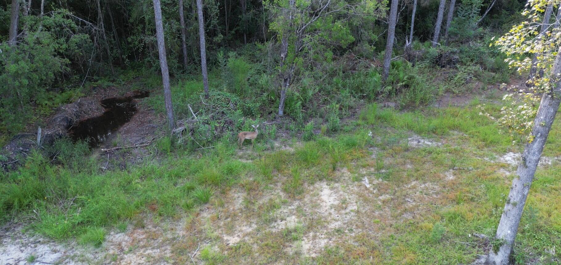 Parcel A Antioch Road Crestview, FL 32536 - Photo 5 of 6 Parcel A