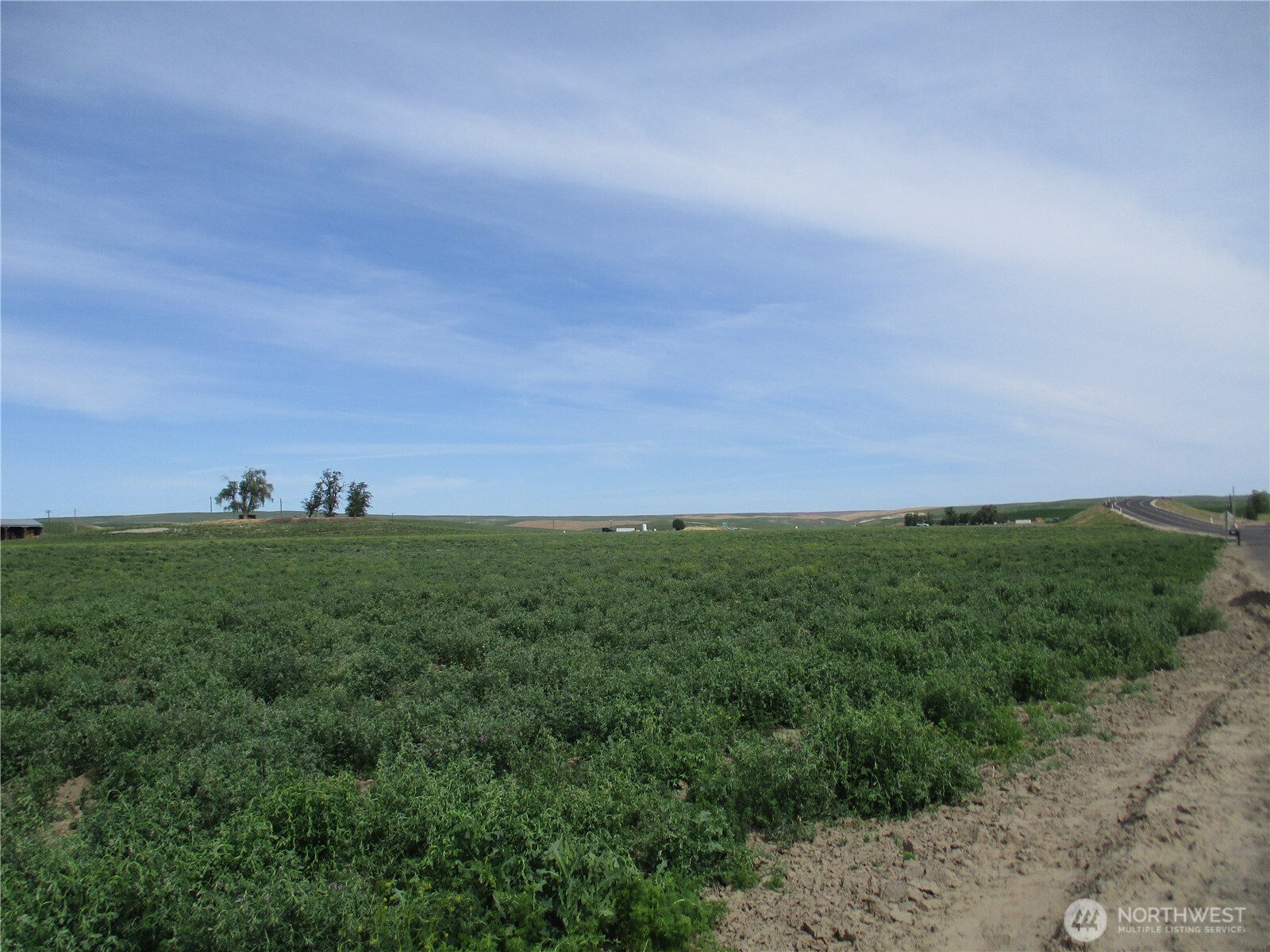 669 Cummins Road Touchet, WA 99360 - Photo 2 of 13 a view of outdoor space and yard