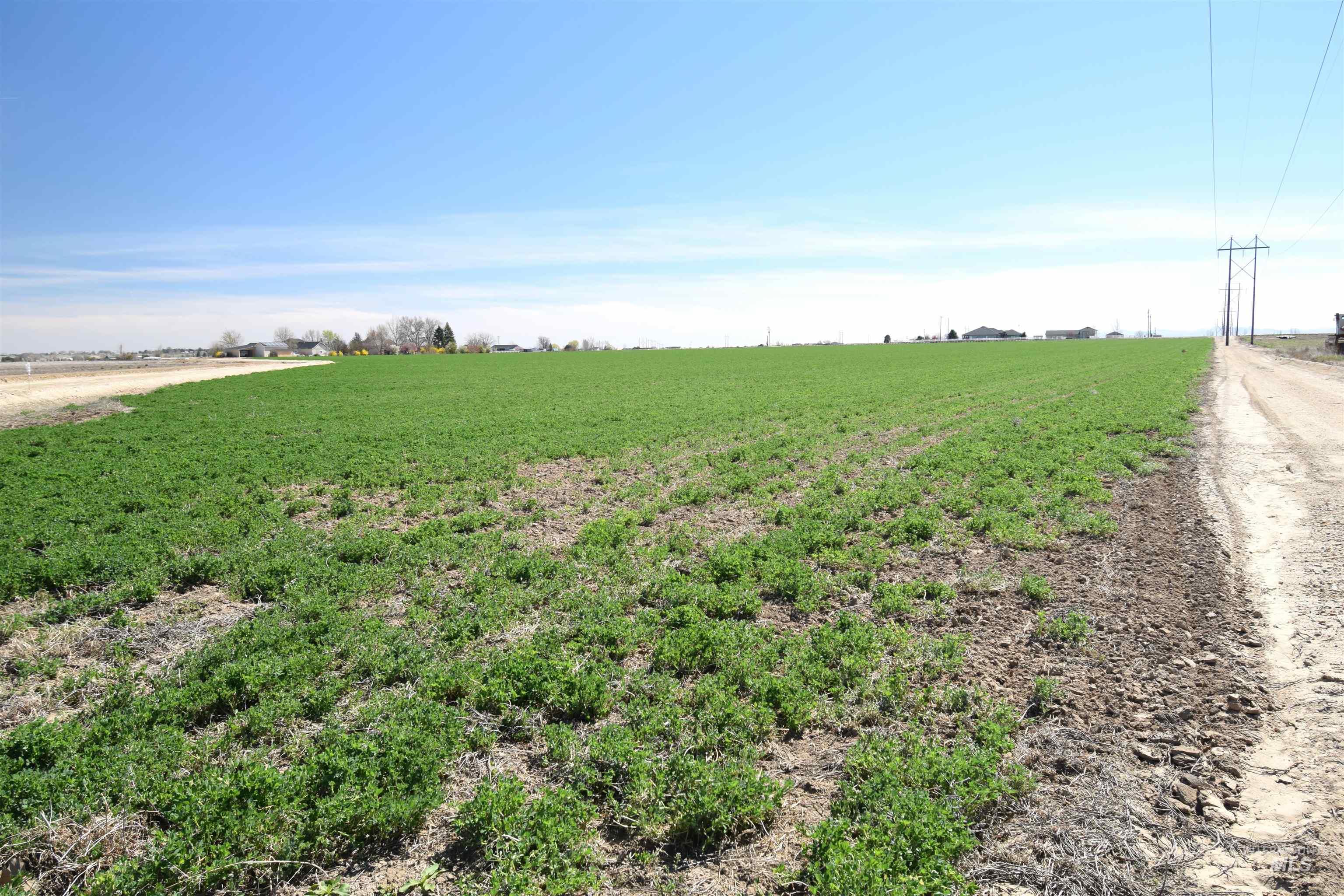 0 Lonkey Lane Caldwell, ID 83607 - Photo 15 of 20