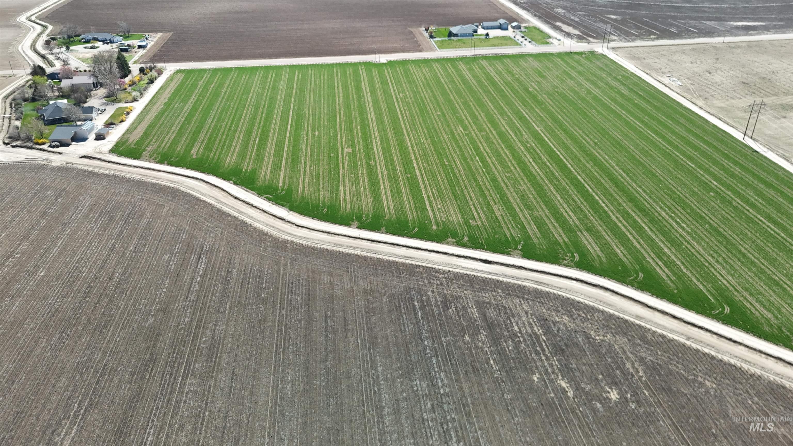 0 Lonkey Lane Caldwell, ID 83607 - Photo 8 of 20