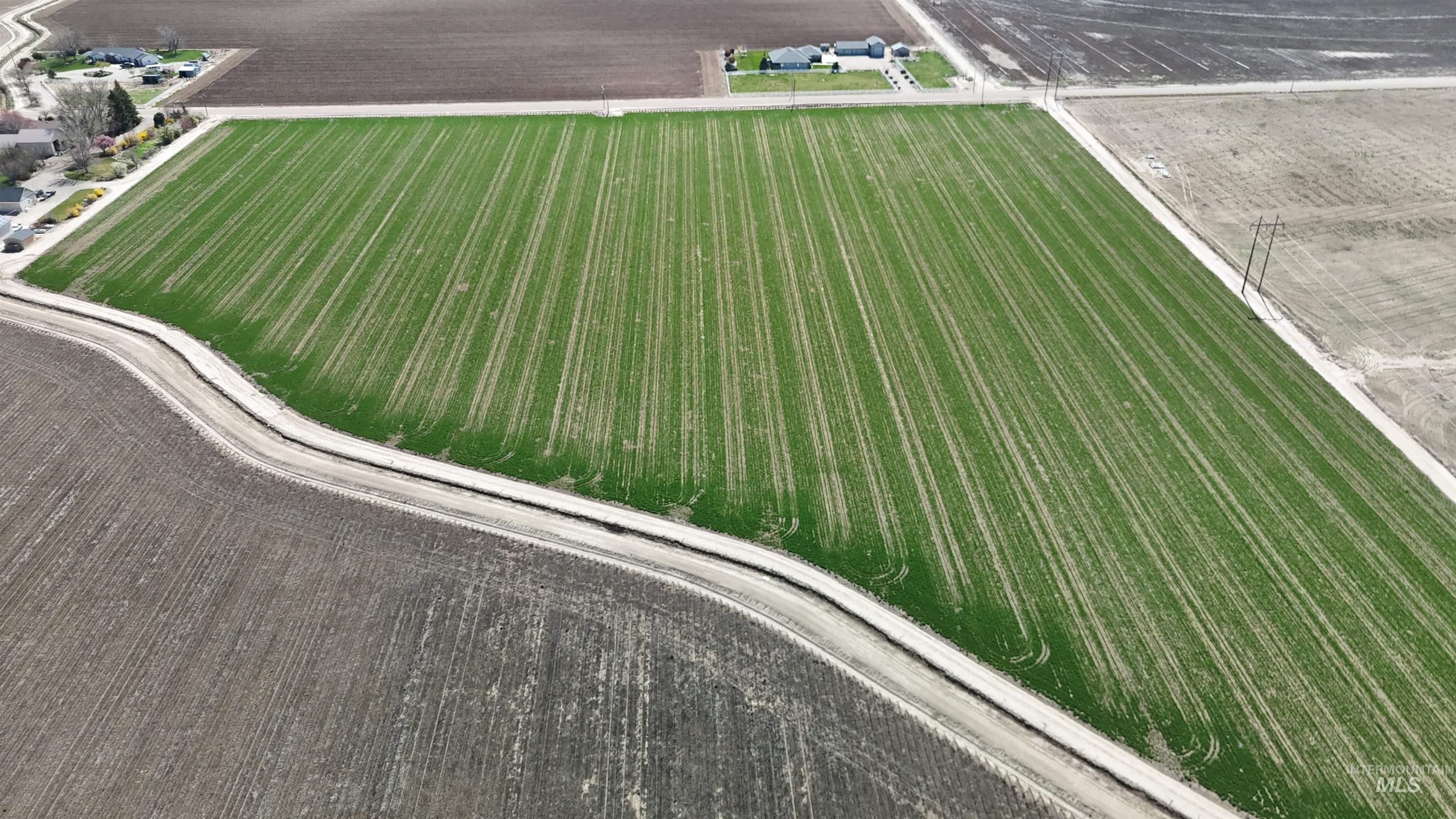 0 Lonkey Lane Caldwell, ID 83607 - Photo 9 of 20