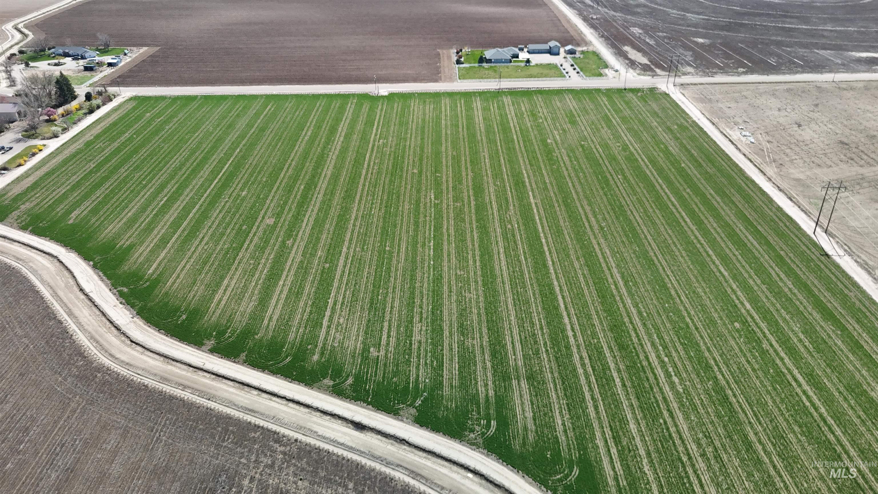 0 Lonkey Lane Caldwell, ID 83607 - Photo 10 of 20