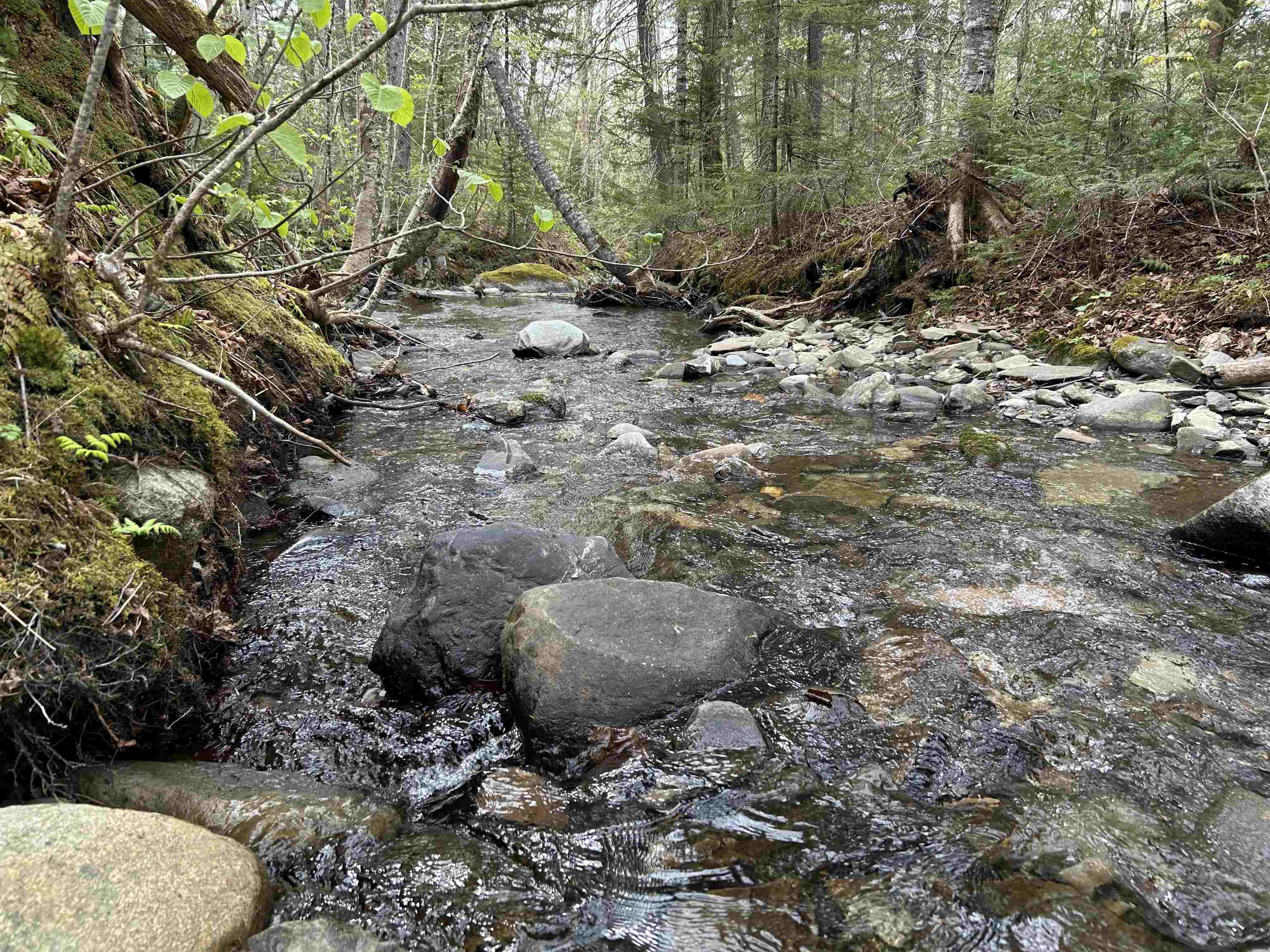 Mapb2-lot16 Dead Water Road Stewartstown, NH 03576 - Photo 8 of 31