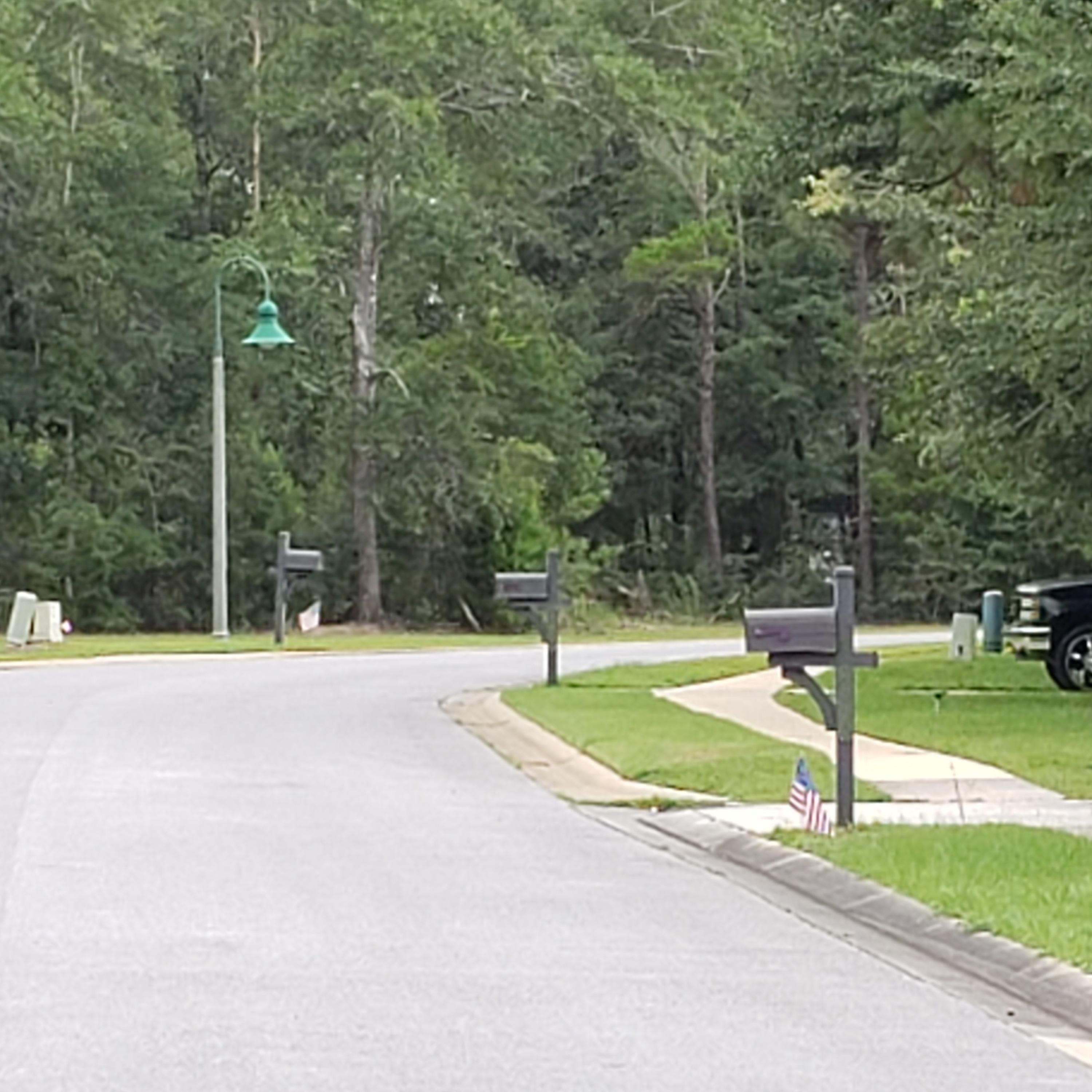 6068 Carina Road Crestview, FL 32539 - Photo 6 of 28 a view of a park with large trees