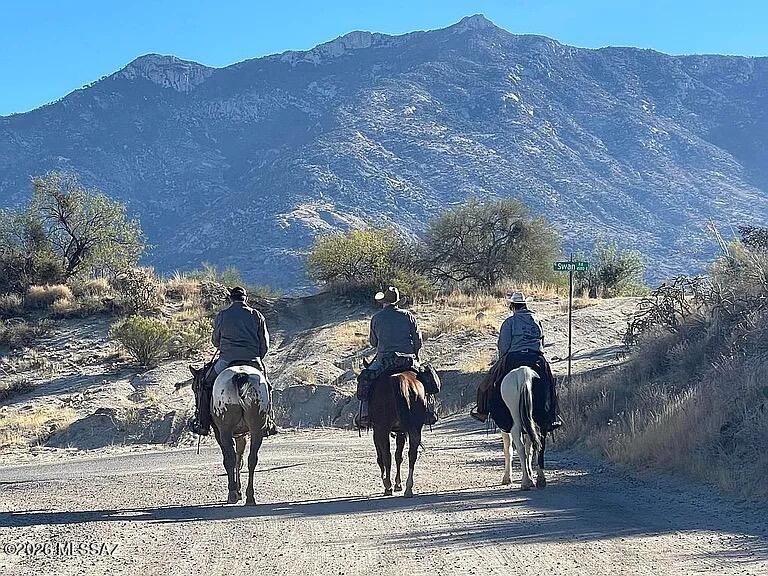 14813 North Swan Road Tucson, AZ 85739 - Photo 2 of 45 IMG_7087_1