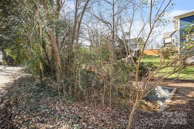 a view of a yard with plants and trees