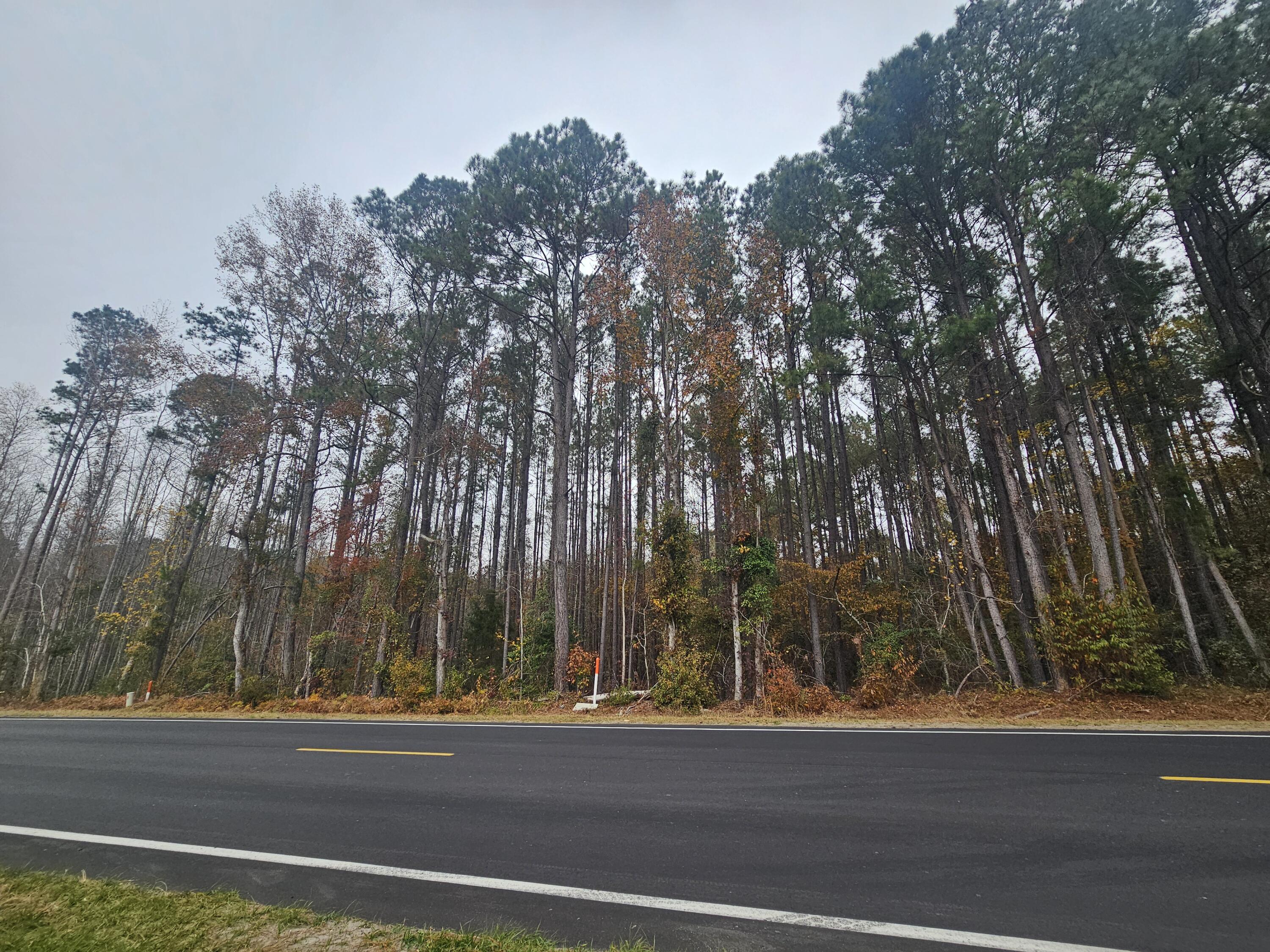 0 Norway Road Orangeburg, SC 29115 - Photo 2 of 5