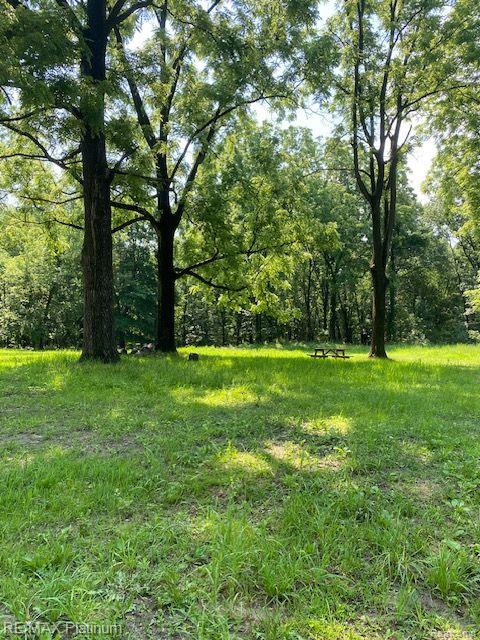 7 Sleaford-parcel 7 - 2 Acres Road Howell, MI 48843 - Photo 38 of 45