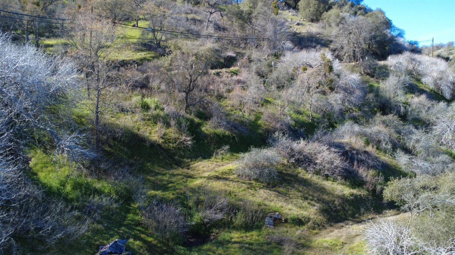 0 Ruth Hill Road Squaw Valley, CA 93675 - Photo 18 of 31