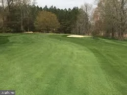 a view of outdoor space with deck and yard