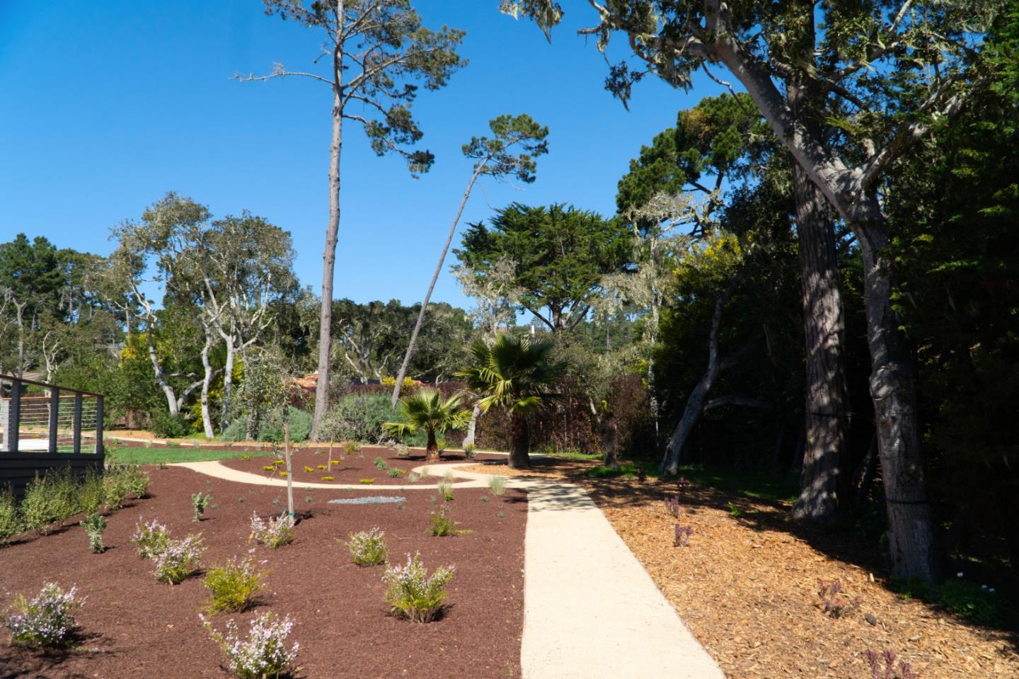 1505 Venadero Road Pebble Beach, CA 93953 - Photo 29 of 36 a view of a backyard