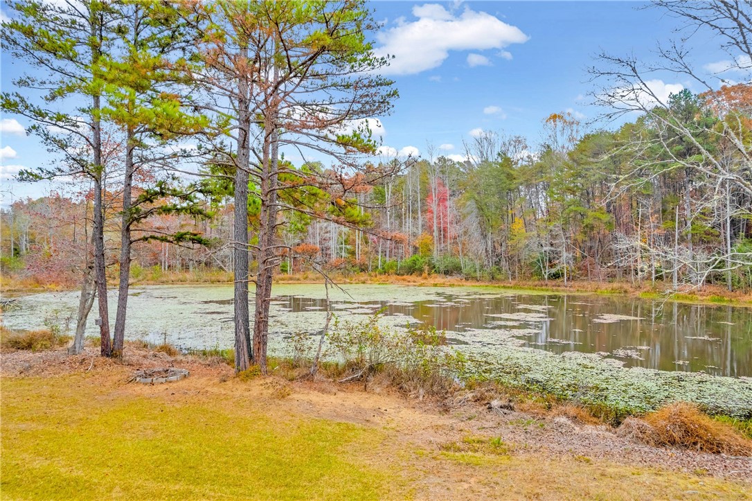 1446 Pickens Highway Walhalla, SC 29691 - Photo 8 of 50