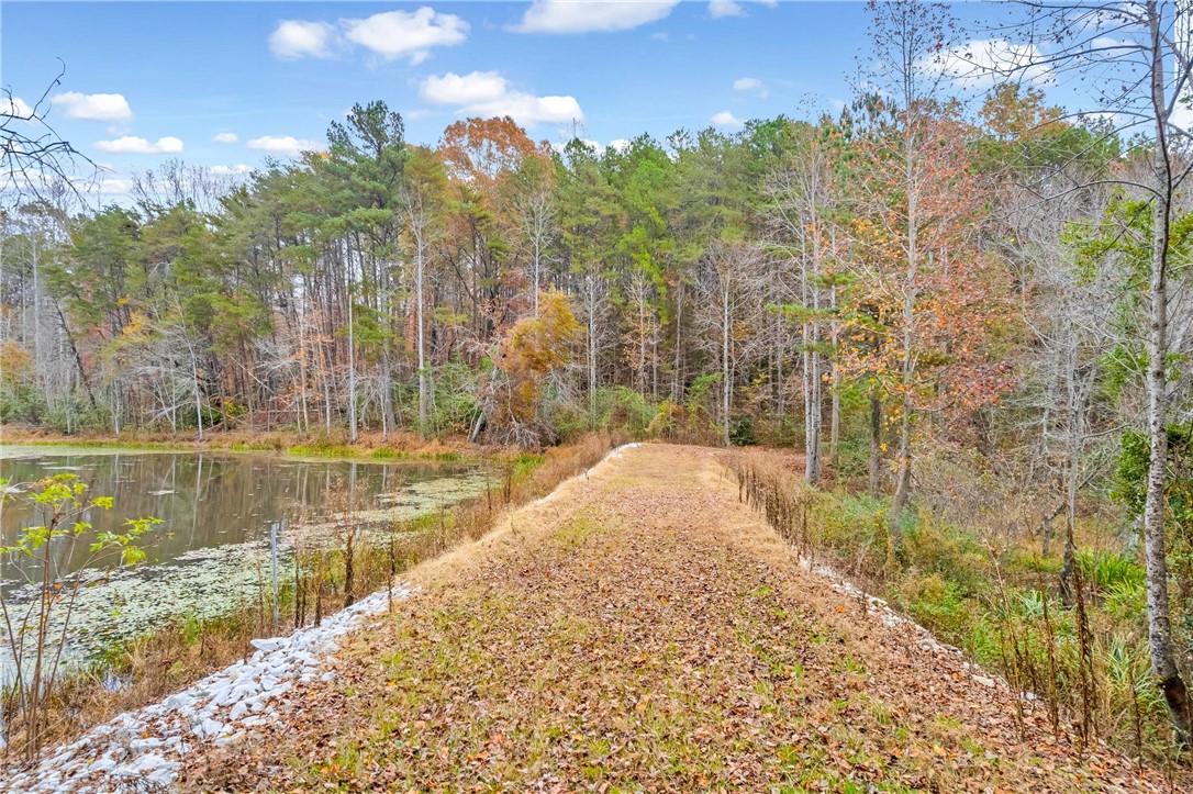 1446 Pickens Highway Walhalla, SC 29691 - Photo 9 of 50