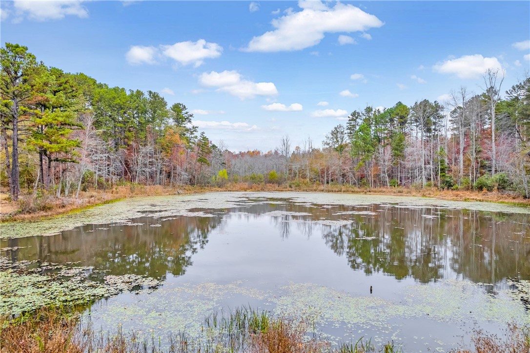 1446 Pickens Highway Walhalla, SC 29691 - Photo 10 of 50