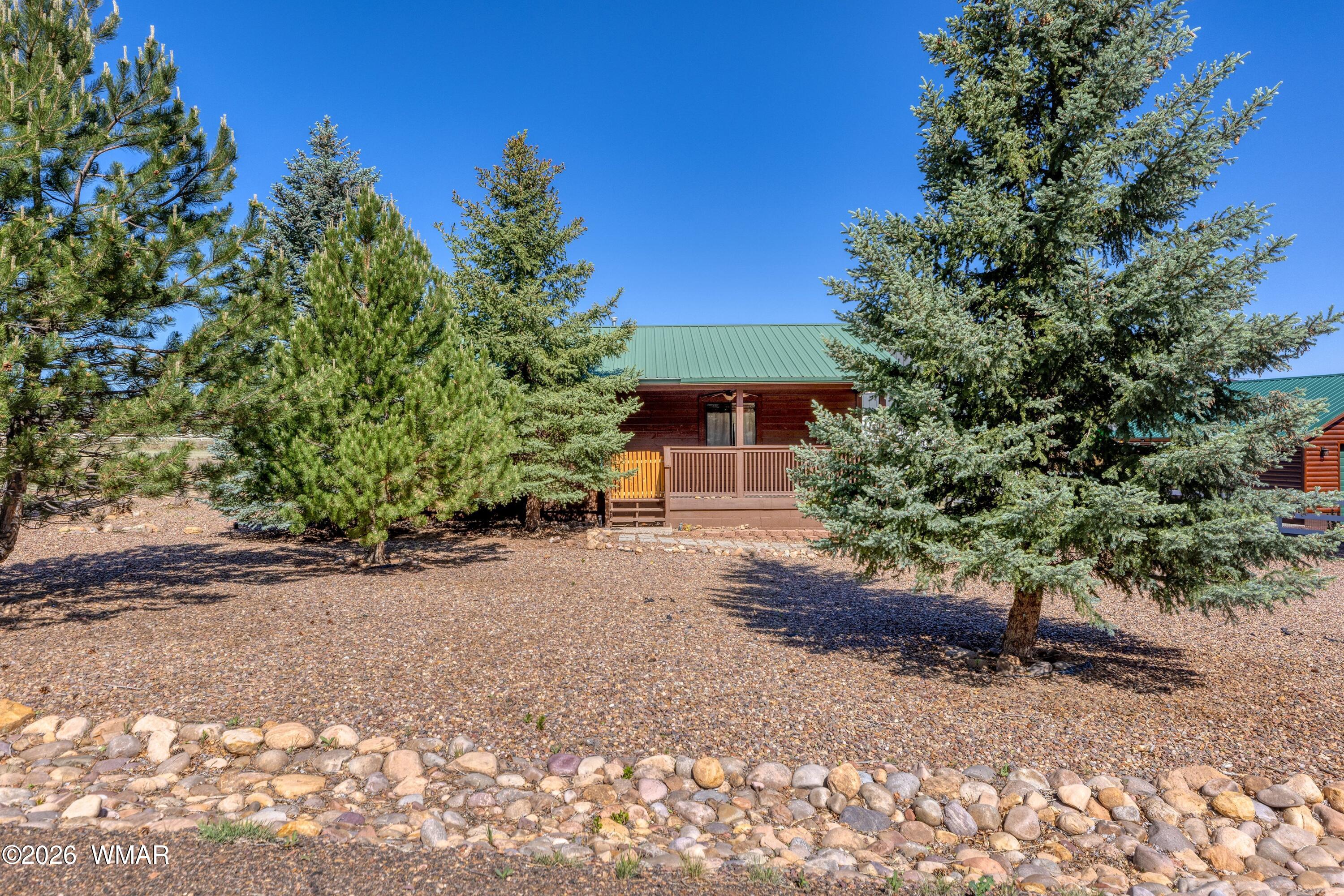 2722 Bain Trail Overgaard, AZ 85933 - Photo 20 of 28 a view of a street with a tree