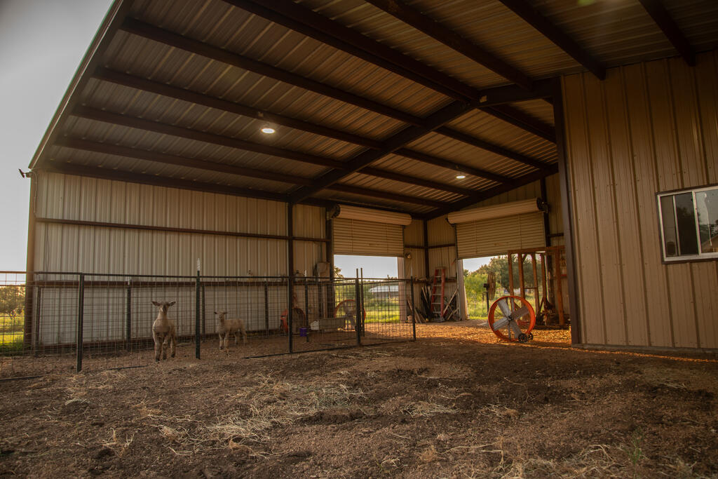 843 Durst Road Mason, TX 76856 - Photo 23 of 61 Gallery Image 23