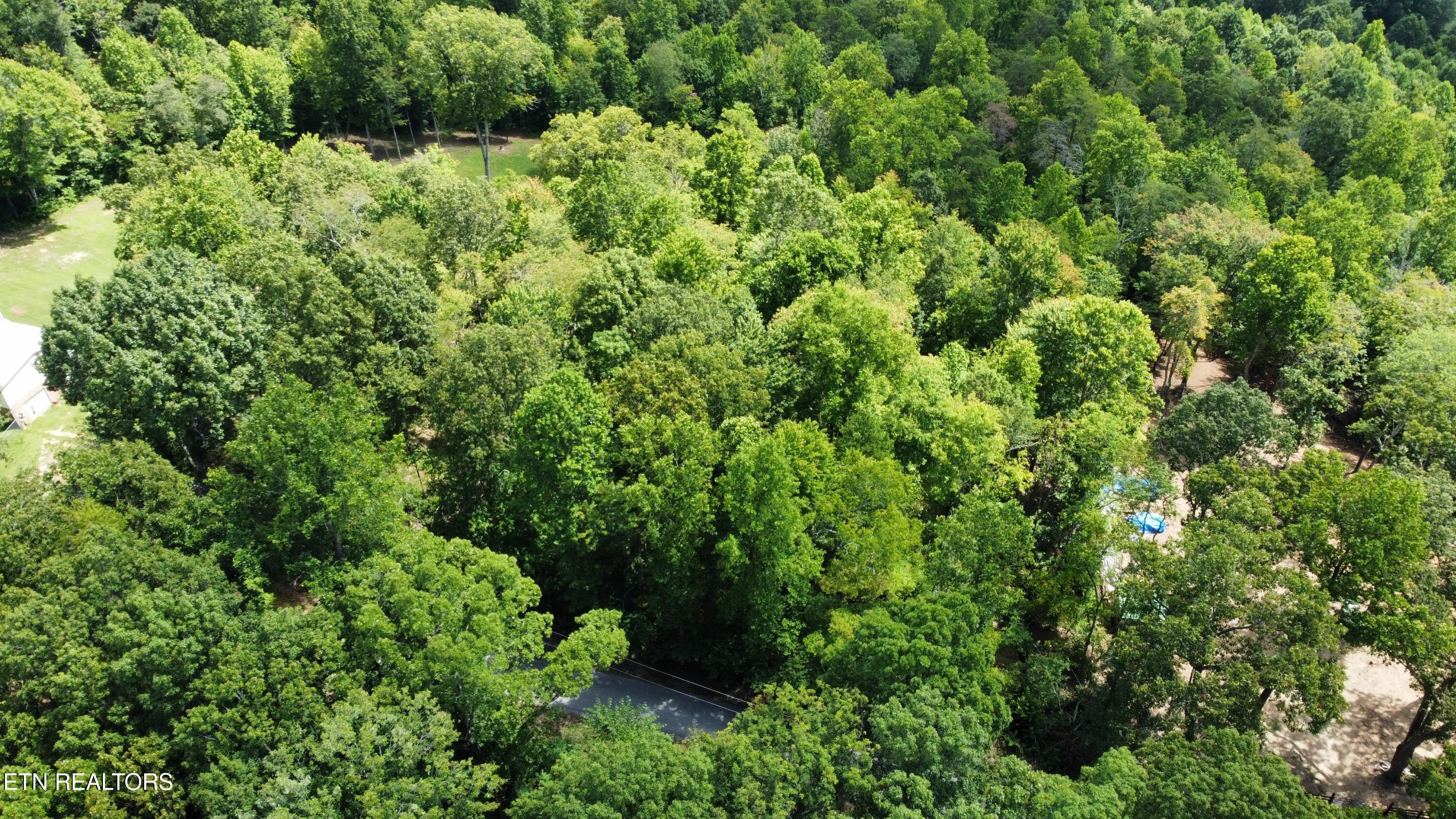 5-6 Clint Williams Road Rutledge, TN 37861 - Photo 4 of 5 dji_fly_20250811_120928_991_175492875606