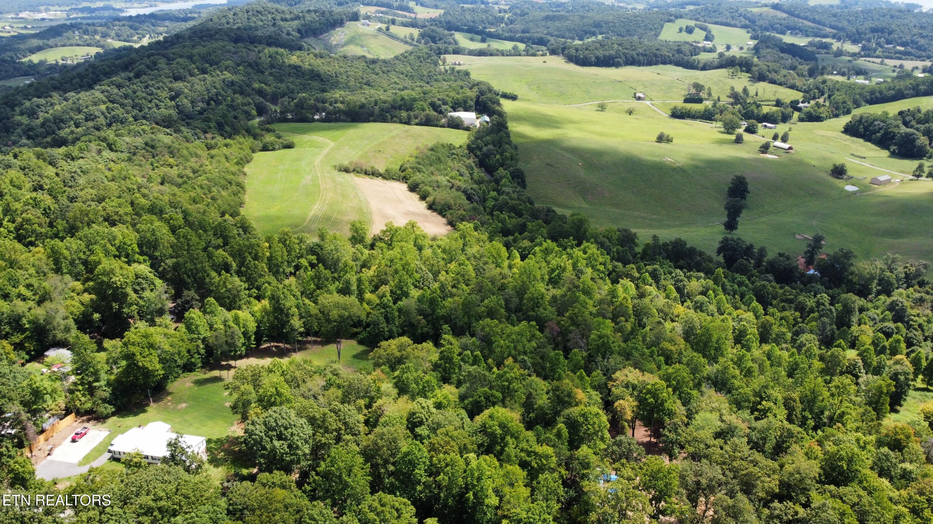 5-6 Clint Williams Road Rutledge, TN 37861 - Photo 5 of 5 dji_fly_20250811_120948_992_175492875979