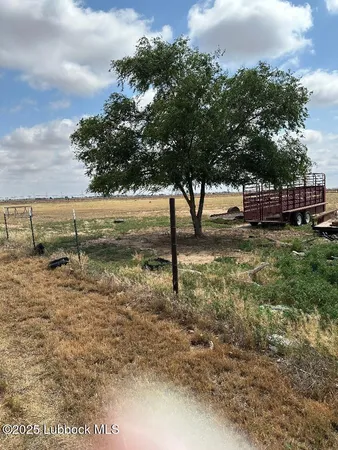 a view of a yard with wooden fence