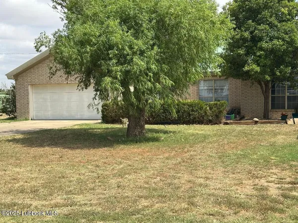 a view of a backyard with large trees