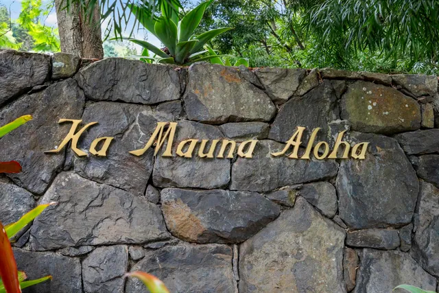 $9,875,000 | 730 Lower Kimo Drive, Kula, HI 96790