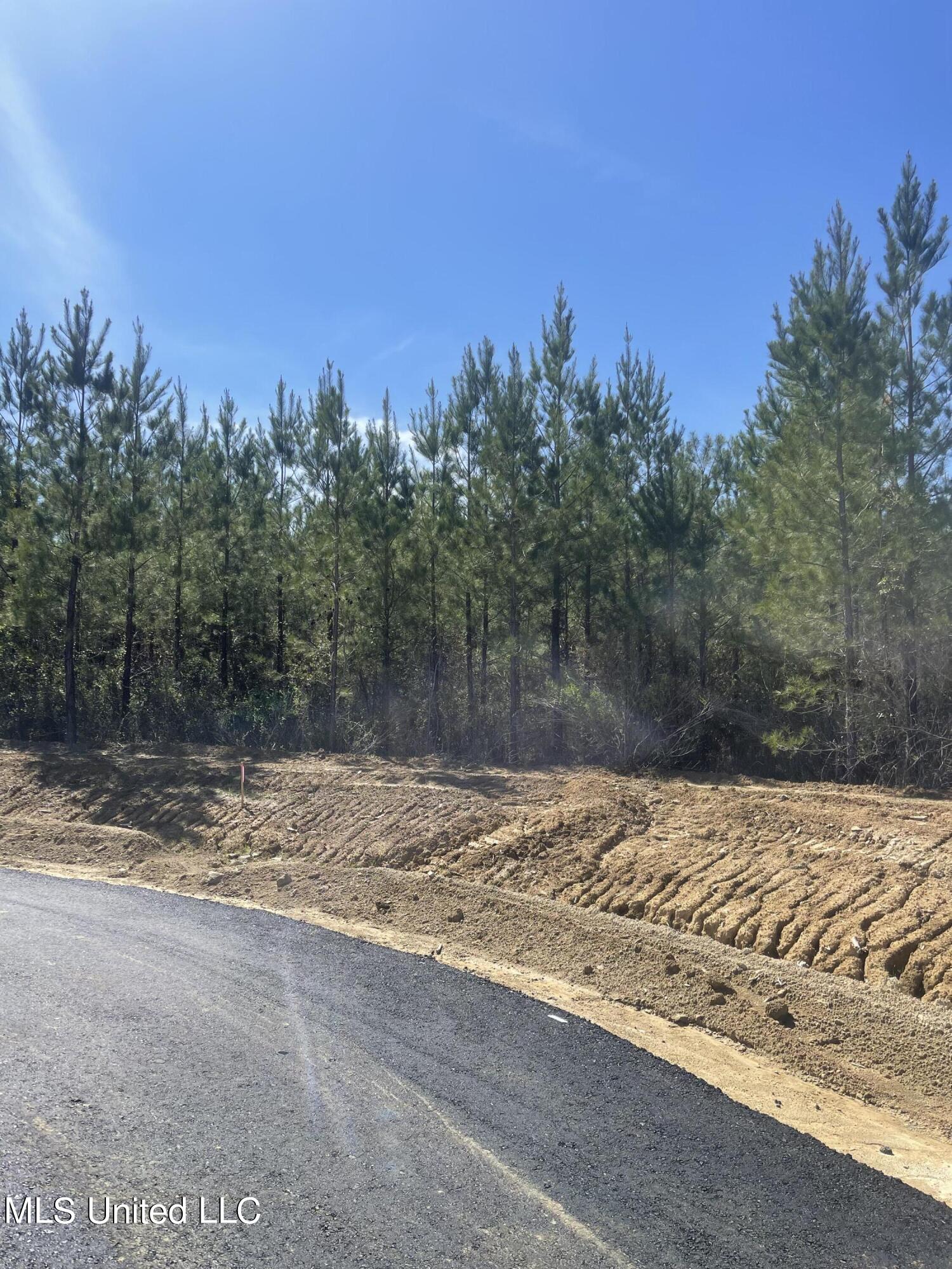Lot 28 Freedom Ridge Lane Brandon, MS 39047 - Photo 3 of 19 IMG_2348