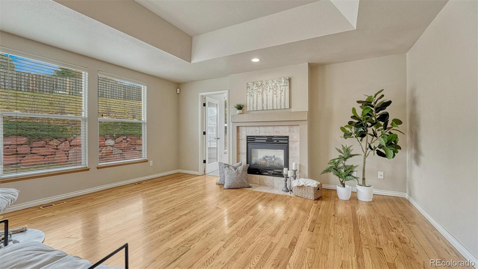 15211 Ridgefield Lane Colorado Springs, CO 80921 - Photo 14 of 47 a living room with a fireplace and potted plants