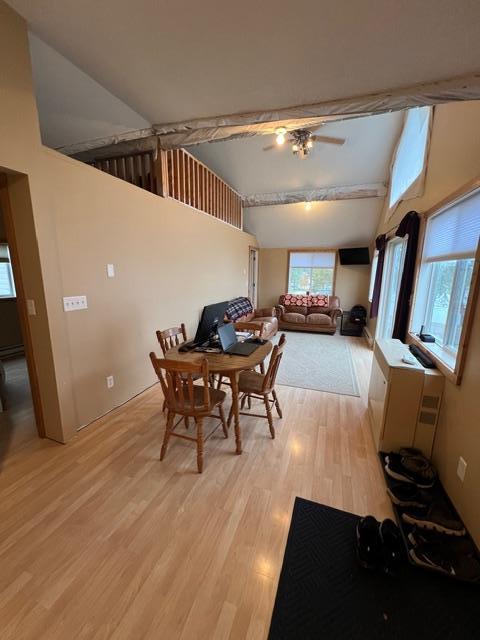 45030 Nitche Lake Road Perham, MN 56573 - Photo 39 of 52