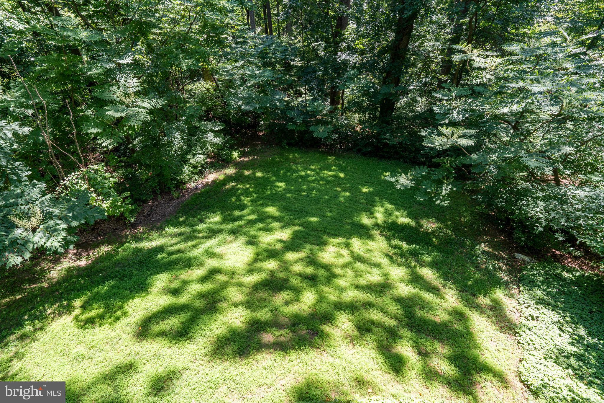 309 Valley Place Radnor, PA 19087 - Photo 35 of 39 a view of a lush green forest