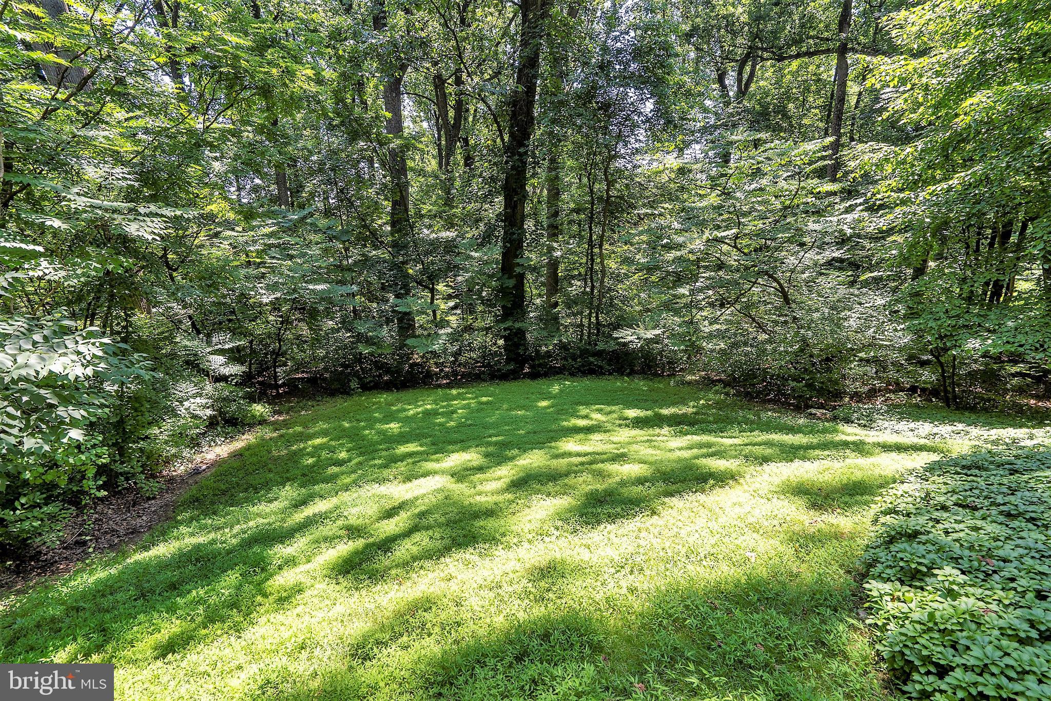 309 Valley Place Radnor, PA 19087 - Photo 36 of 39 a view of a yard with a trees