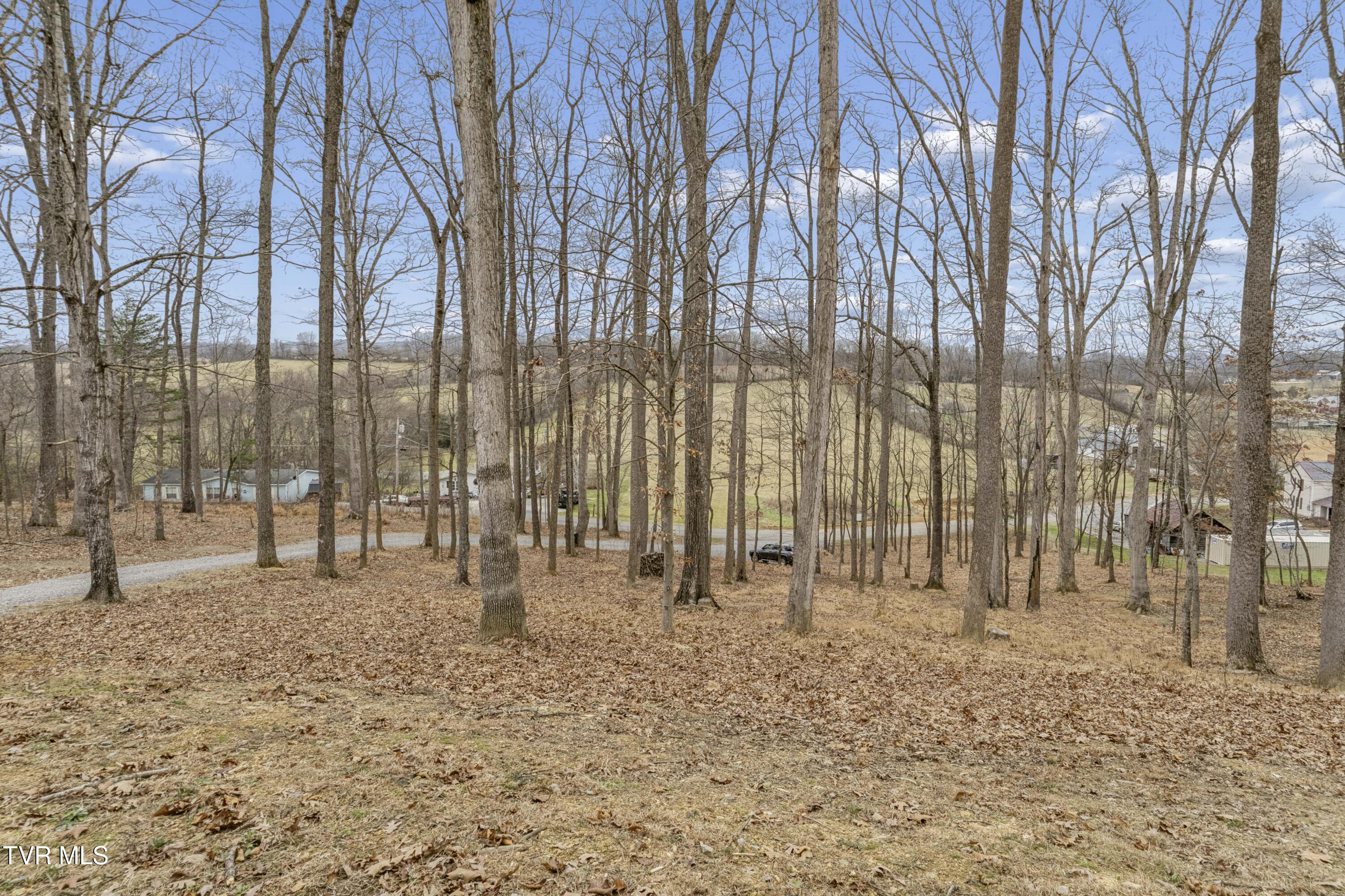 166 Booher Road Jonesborough, TN 37659 - Photo 50 of 65 Booher-44