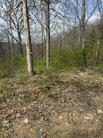 $62,000 | 0 Sharps Hill Road, Brookville, IN 47012