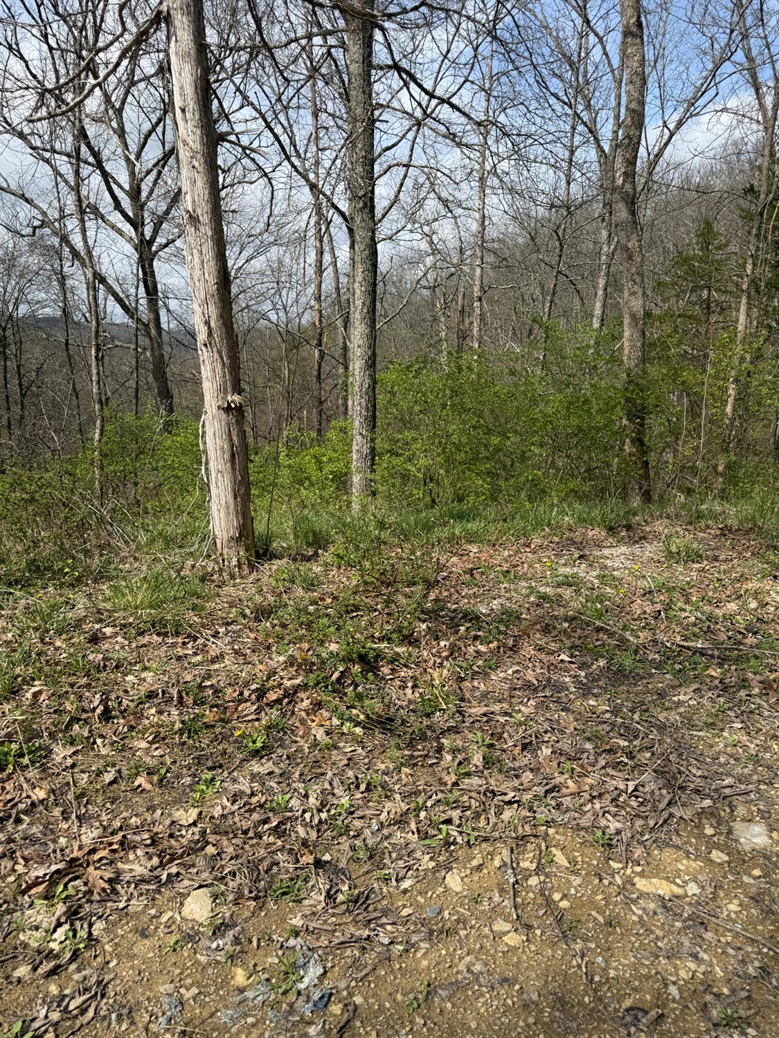 0 Sharps Hill Road Brookville, IN 47012 - Photo 3 of 3