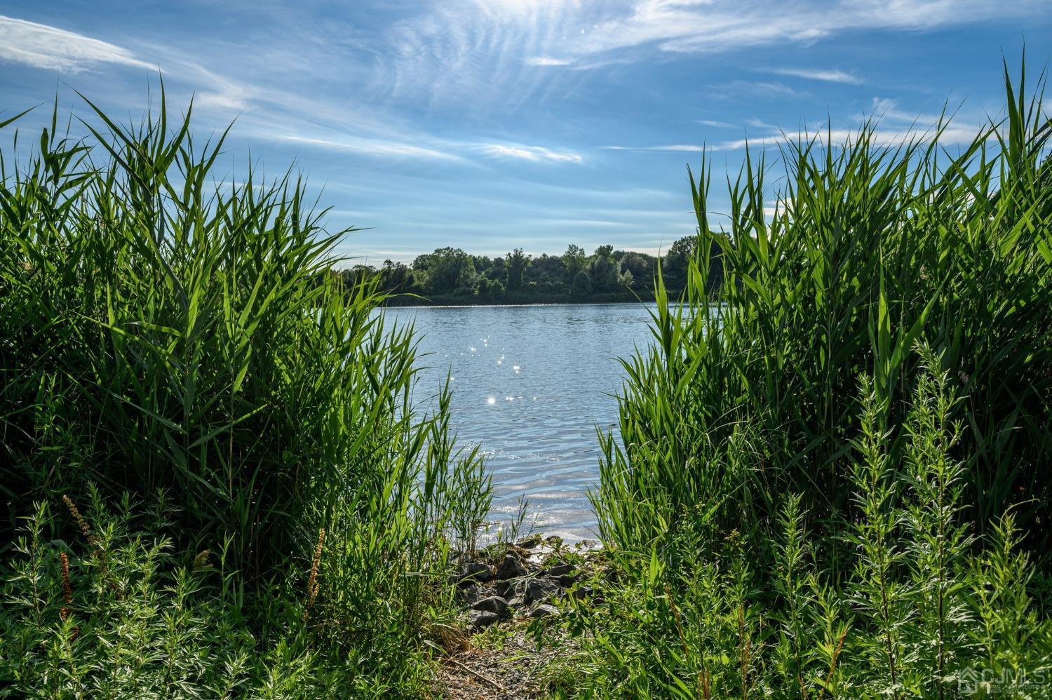 16 Green Road Mine Hill, NJ 07803 - Photo 50 of 53 a view of a garden from a lake