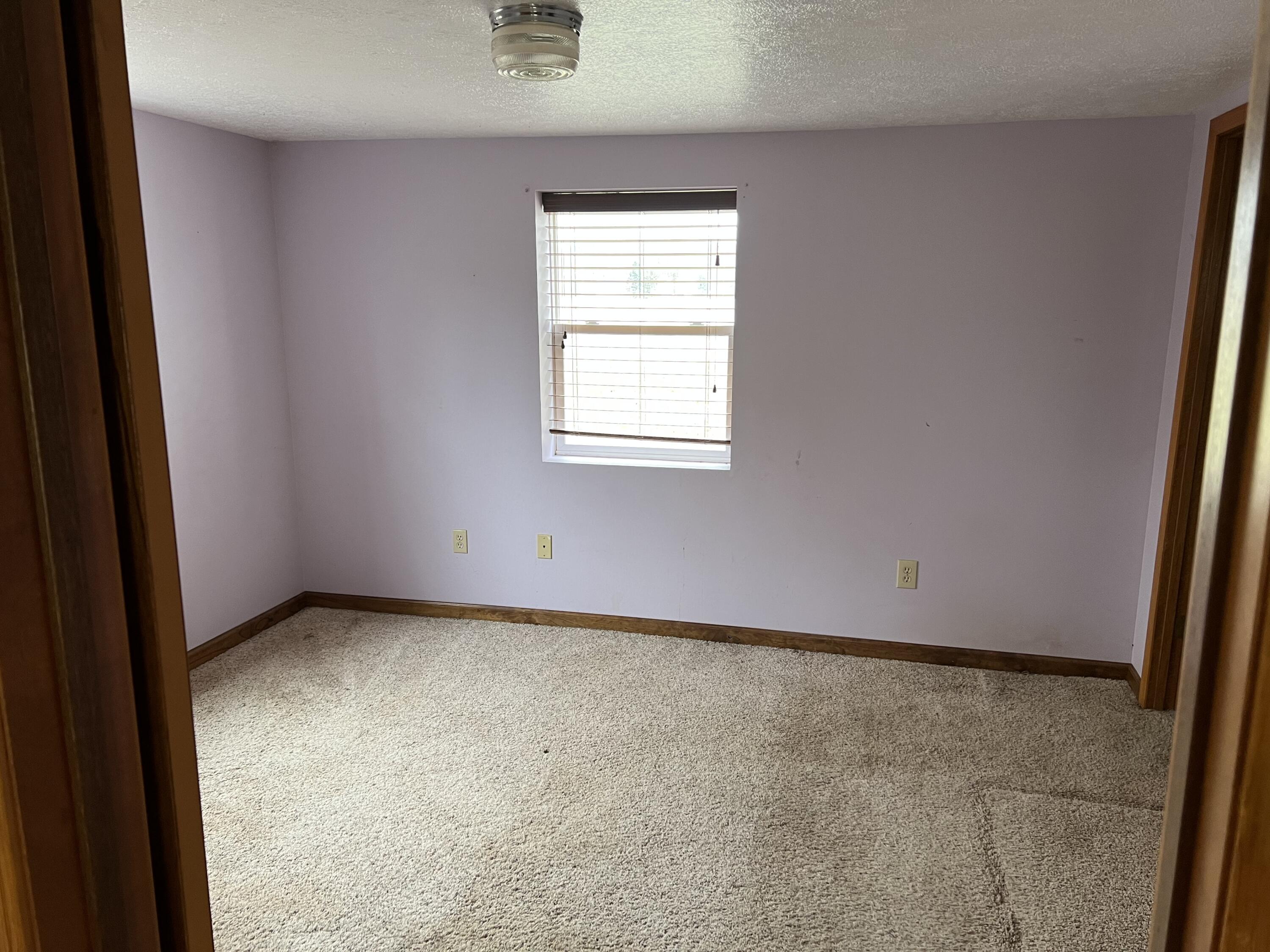 290 Stancer Road Union City, MI 49094 - Photo 23 of 42 85BDEFDF-044C-4BA4-876B-FAB15C04D02E