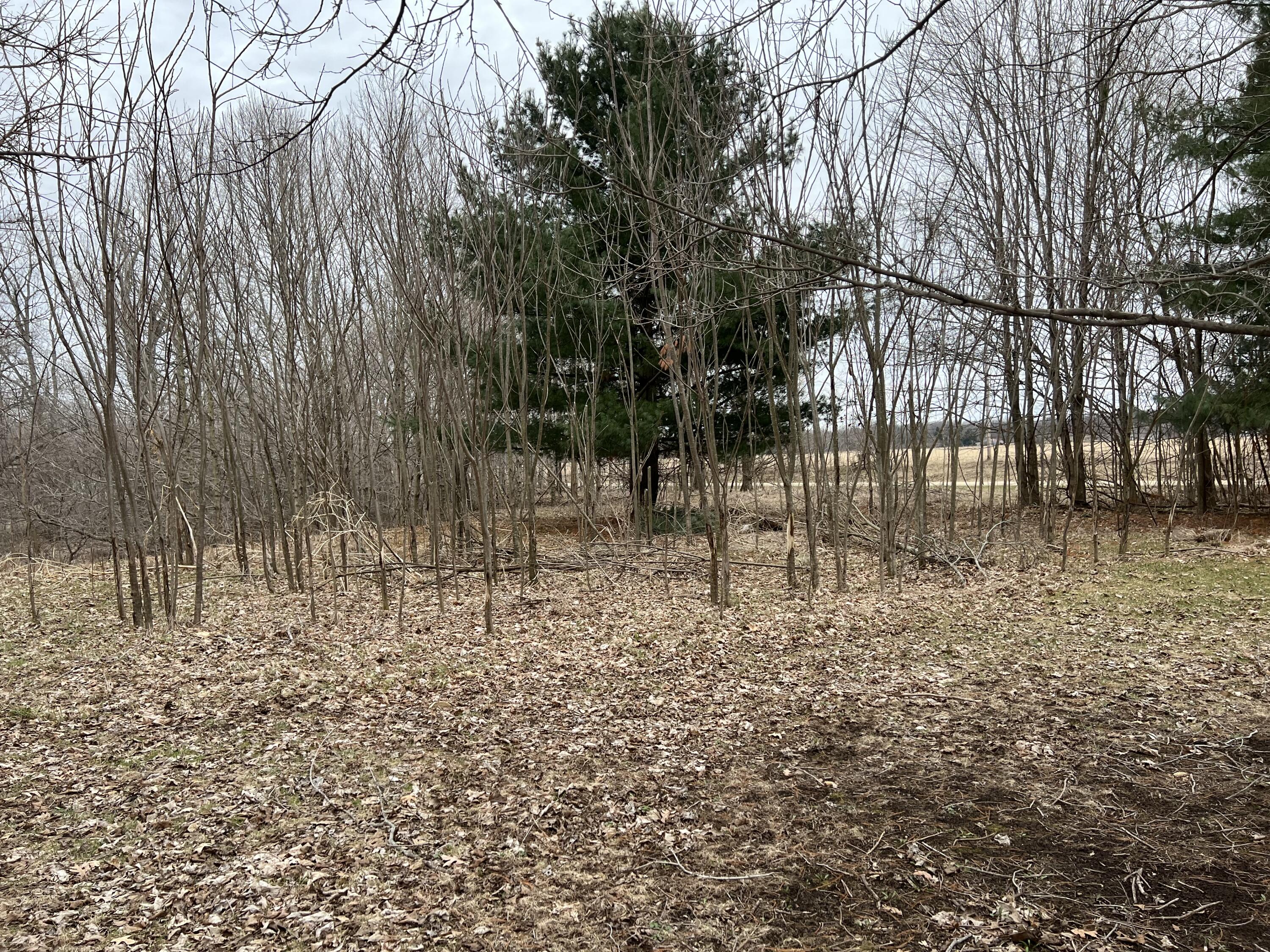290 Stancer Road Union City, MI 49094 - Photo 40 of 42 0387B8BC-5308-4BE9-A32C-E4FBE0C7AC71