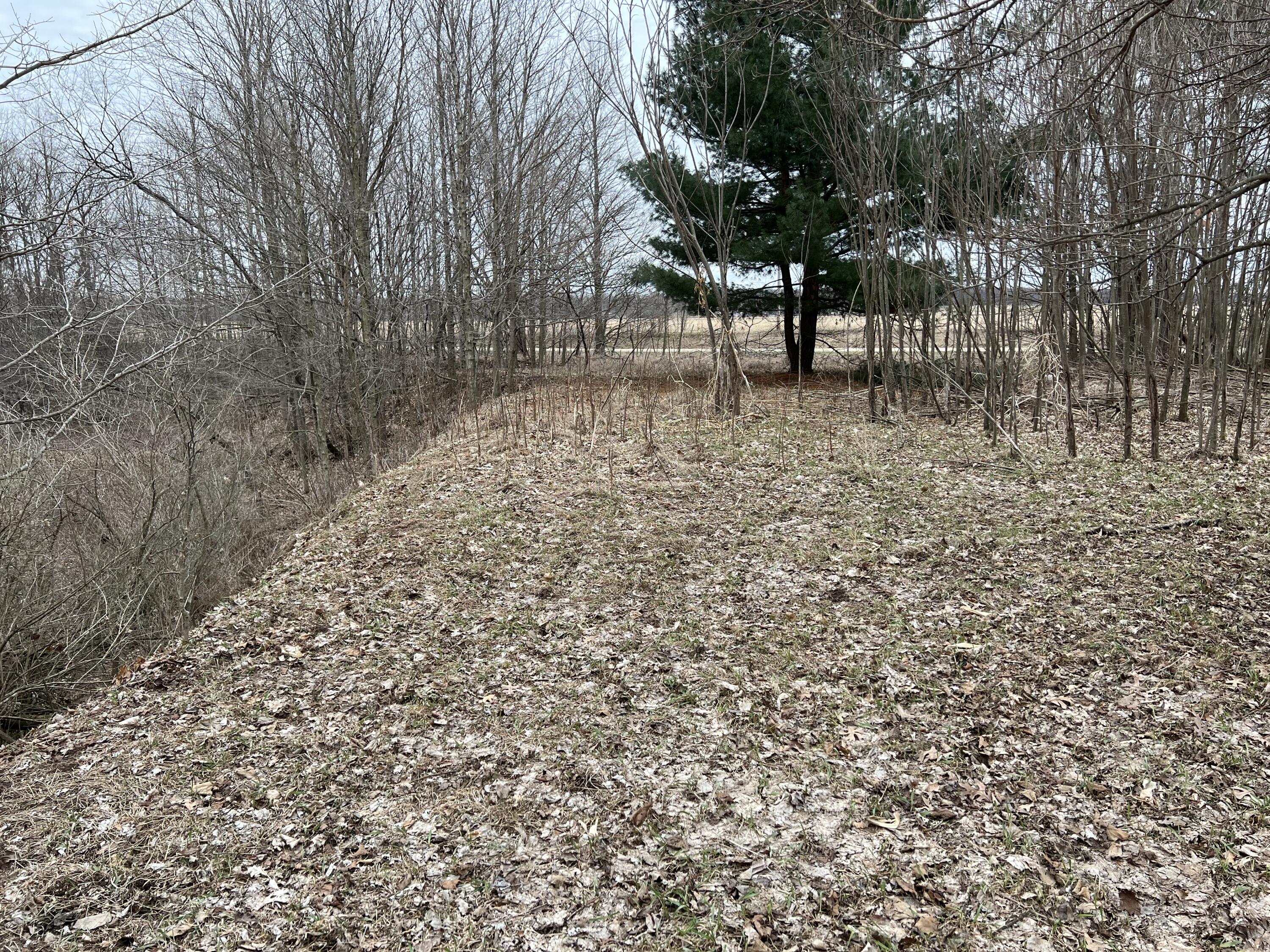 290 Stancer Road Union City, MI 49094 - Photo 42 of 42 20D65E17-6A6B-4F8D-A2FD-420708B95652