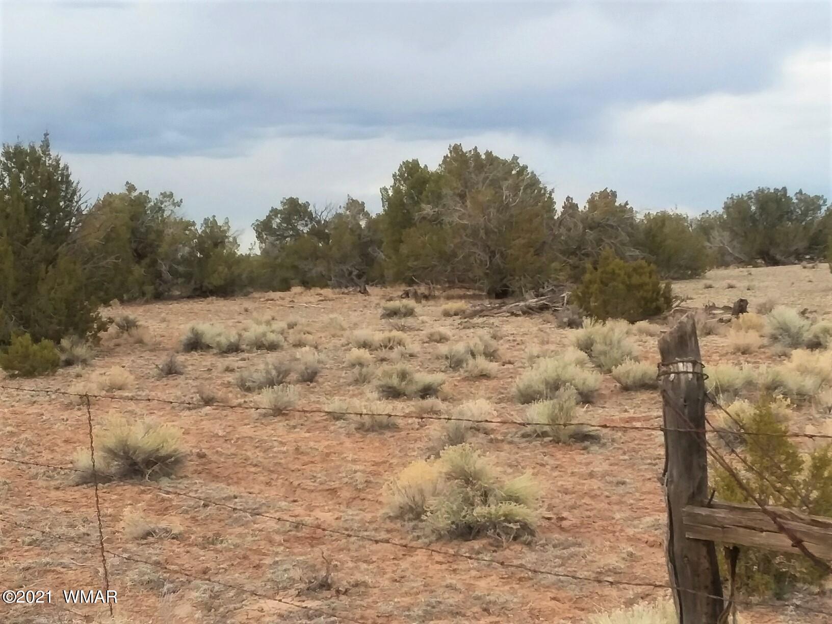 Lot 108 Witch Well Ranch St. Johns, AZ 85936 - Photo 2 of 10