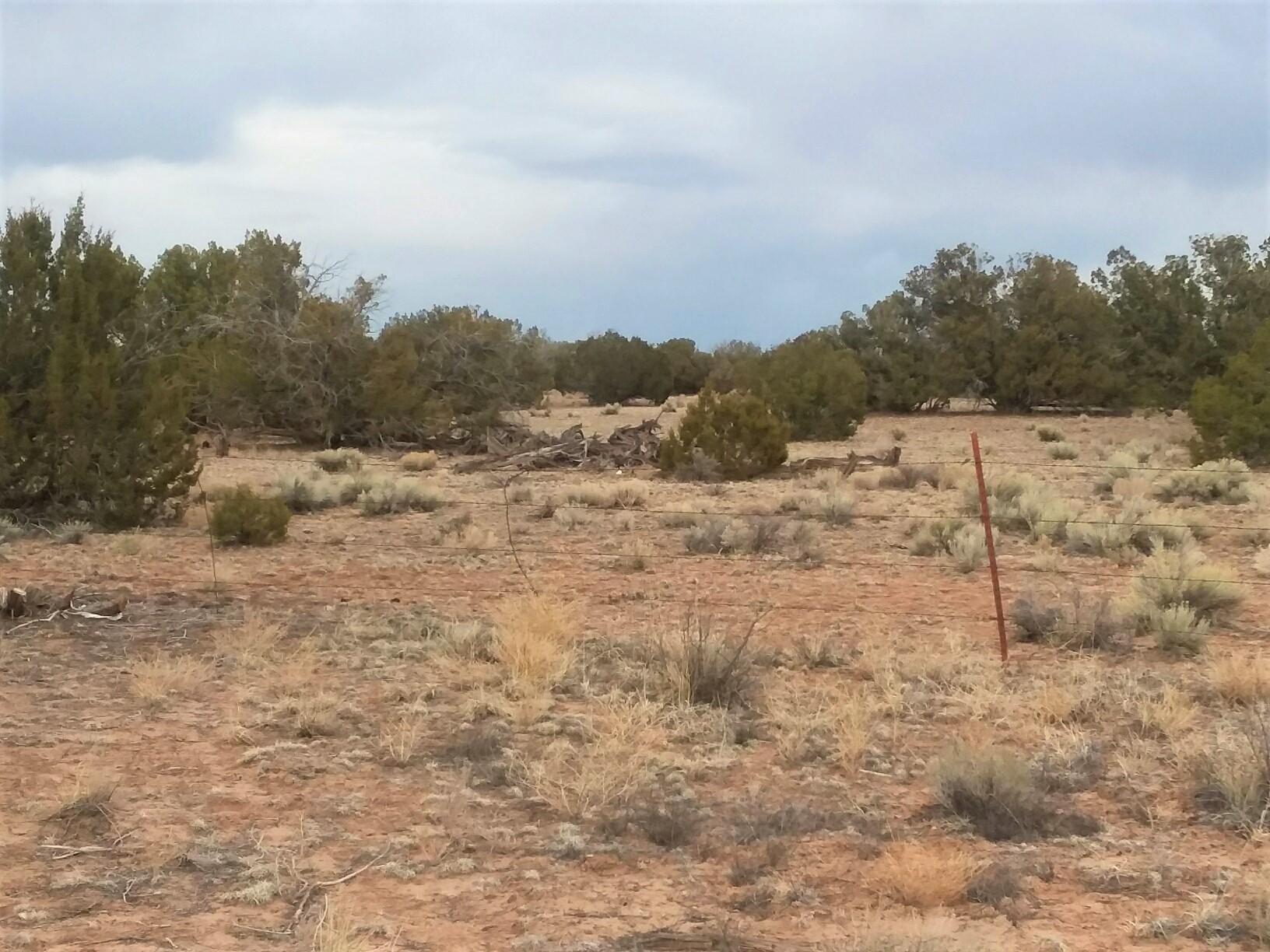 Lot 108 Witch Well Ranch St. Johns, AZ 85936 - Photo 3 of 10