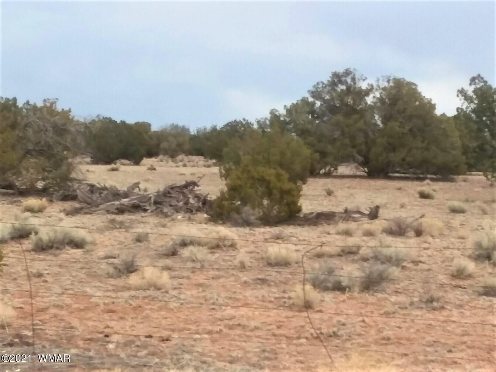 Lot 108 Witch Well Ranch St. Johns, AZ 85936 - Photo 5 of 10