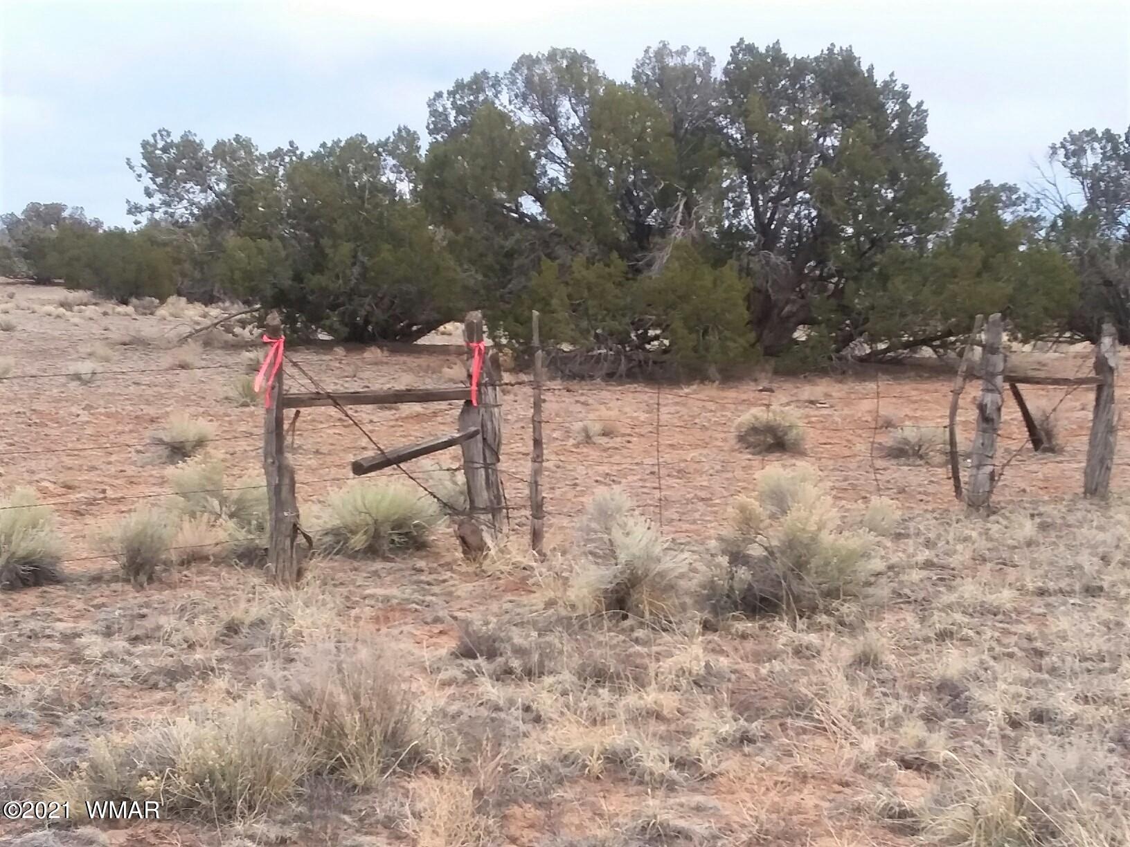 Lot 108 Witch Well Ranch St. Johns, AZ 85936 - Photo 6 of 10
