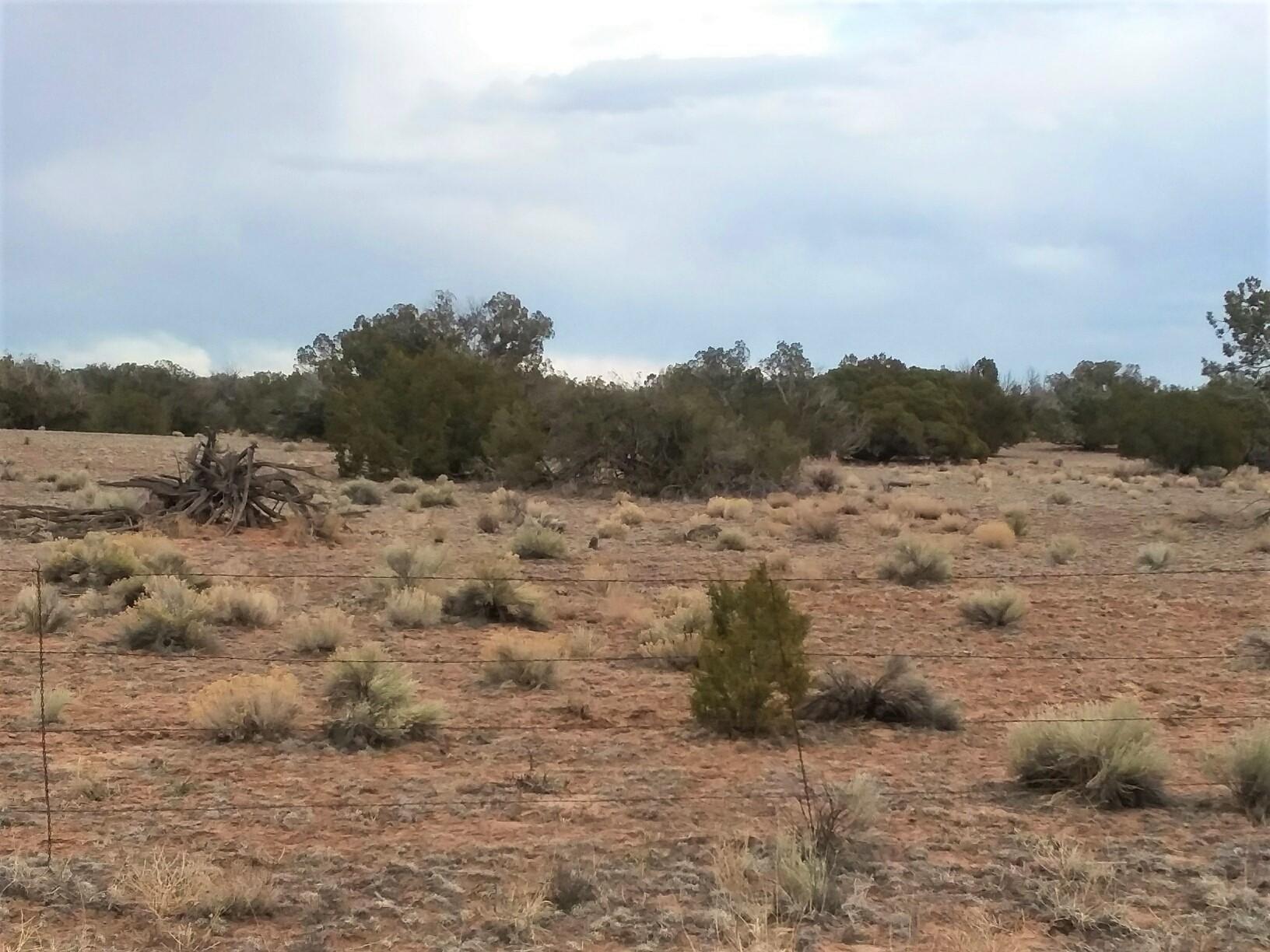 Lot 108 Witch Well Ranch St. Johns, AZ 85936 - Photo 7 of 10