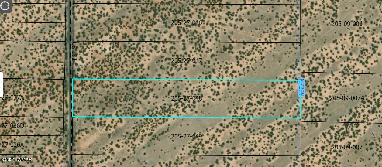 Lot 108 Witch Well Ranch St. Johns, AZ 85936 - Photo 8 of 10