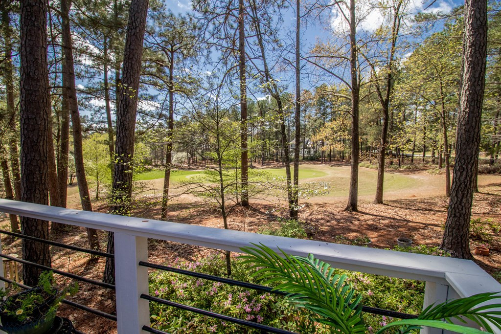 66 Juniper Loop Aiken, SC 29803 - Photo 40 of 42