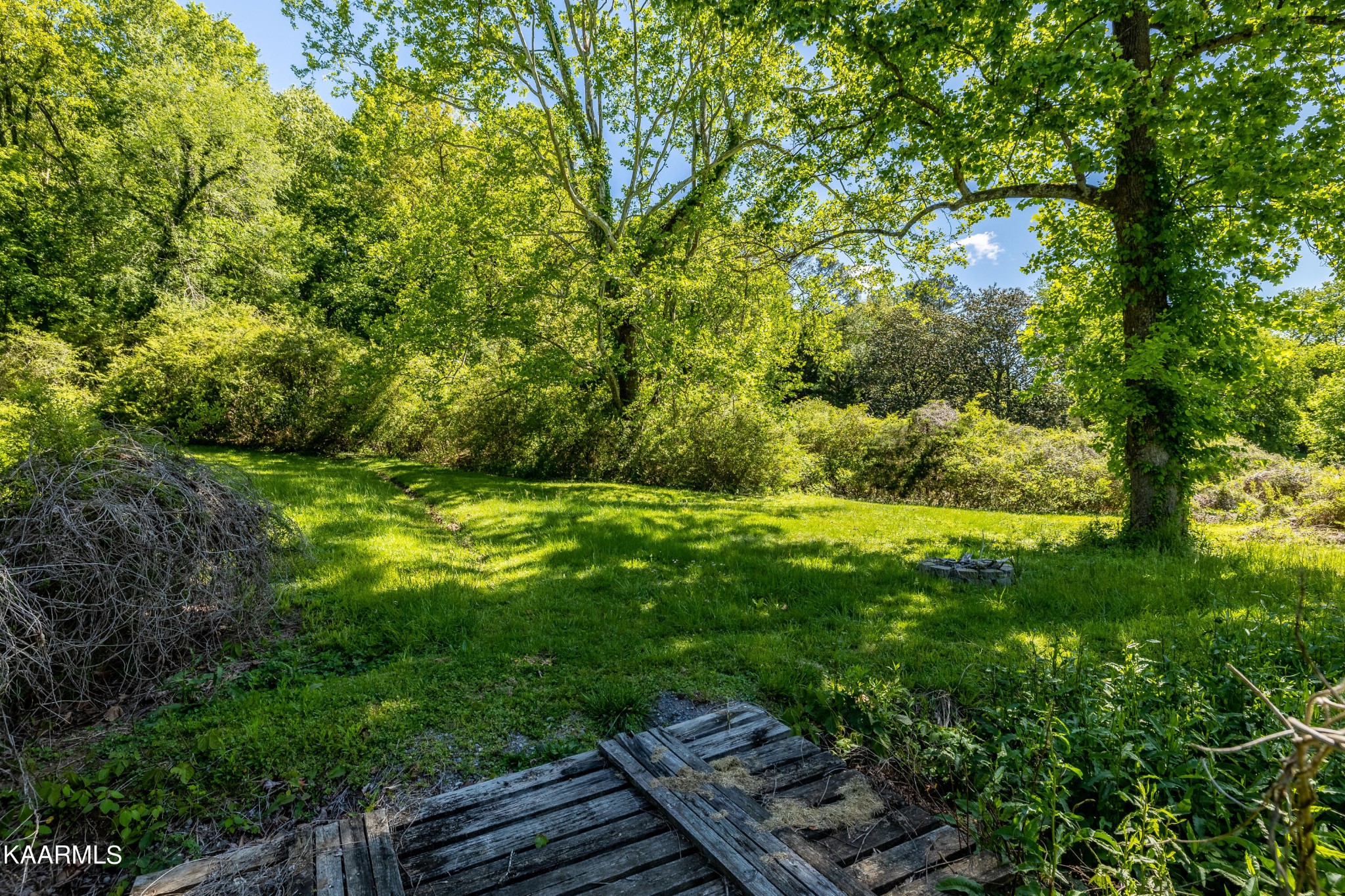117 Jarrett Lane Oak Ridge, TN 37830 - Photo 34 of 35 a view of outdoor space and yard