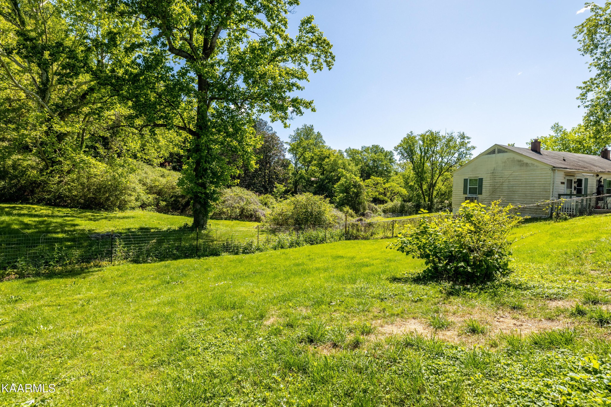 117 Jarrett Lane Oak Ridge, TN 37830 - Photo 35 of 35 a backyard of a house with a yard and plants