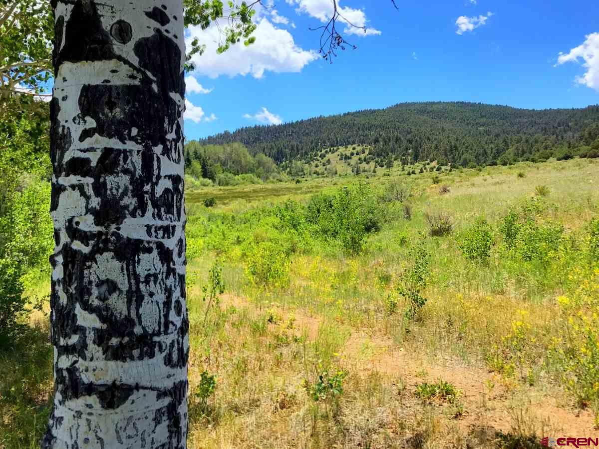 Tbd Shaw Creek Ranch Road Del Norte, CO 81132 - Photo 25 of 35