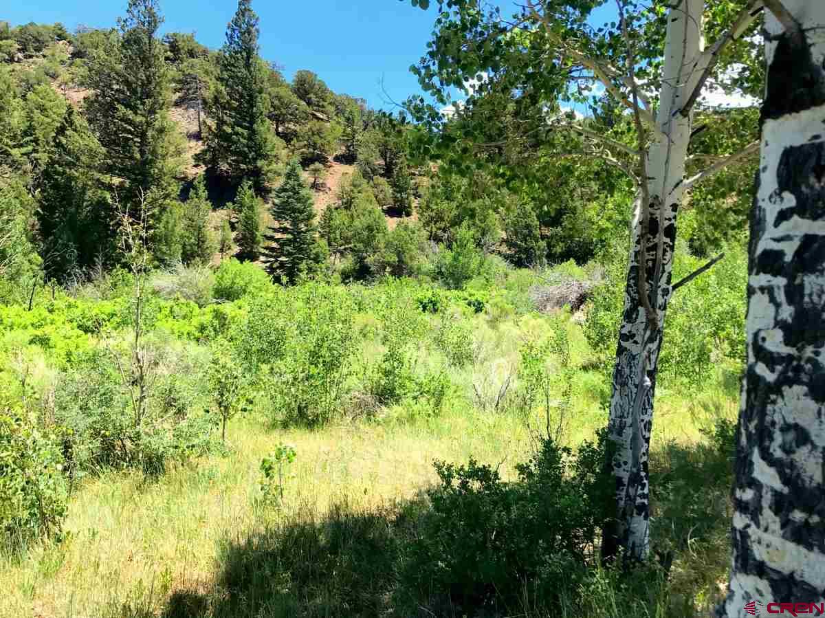 Tbd Shaw Creek Ranch Road Del Norte, CO 81132 - Photo 26 of 35