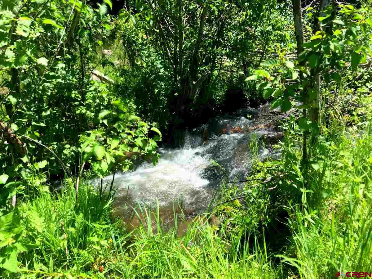 Tbd Shaw Creek Ranch Road Del Norte, CO 81132 - Photo 28 of 35 a view of a garden with plants